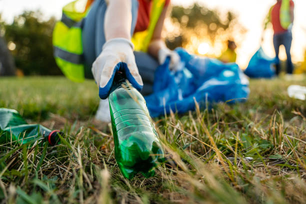 Best Yard Waste Removal  in West Sayville, NY